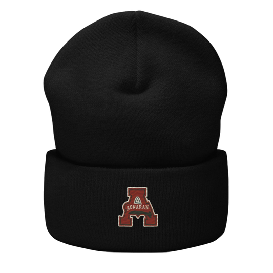 DS2 Cuffed Beanie